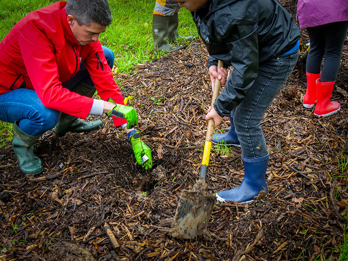 Plantation 2023 au bois Lavau