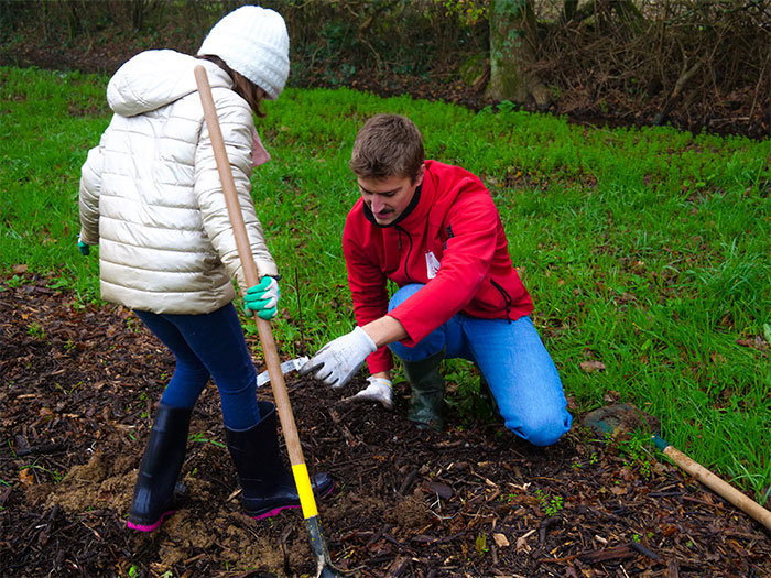 Projet de plantation avec la ville de Cholet