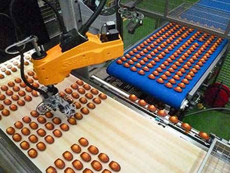machine conditionnement alimentaire