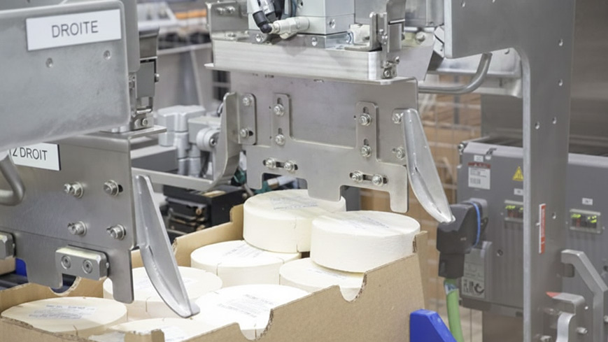 Encaisseuse wrap de camemberts à la couche