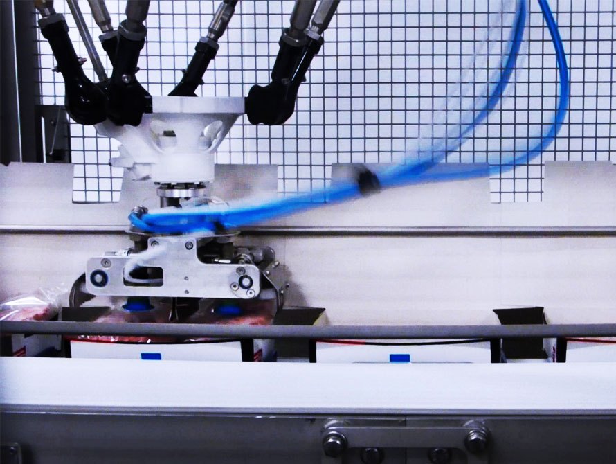 Qu&rsquo;est-ce qu&rsquo;un robot delta ?